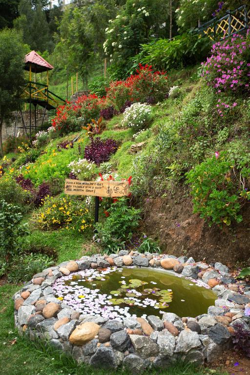 Pine Borough Inn Кодайканал Экстерьер фото